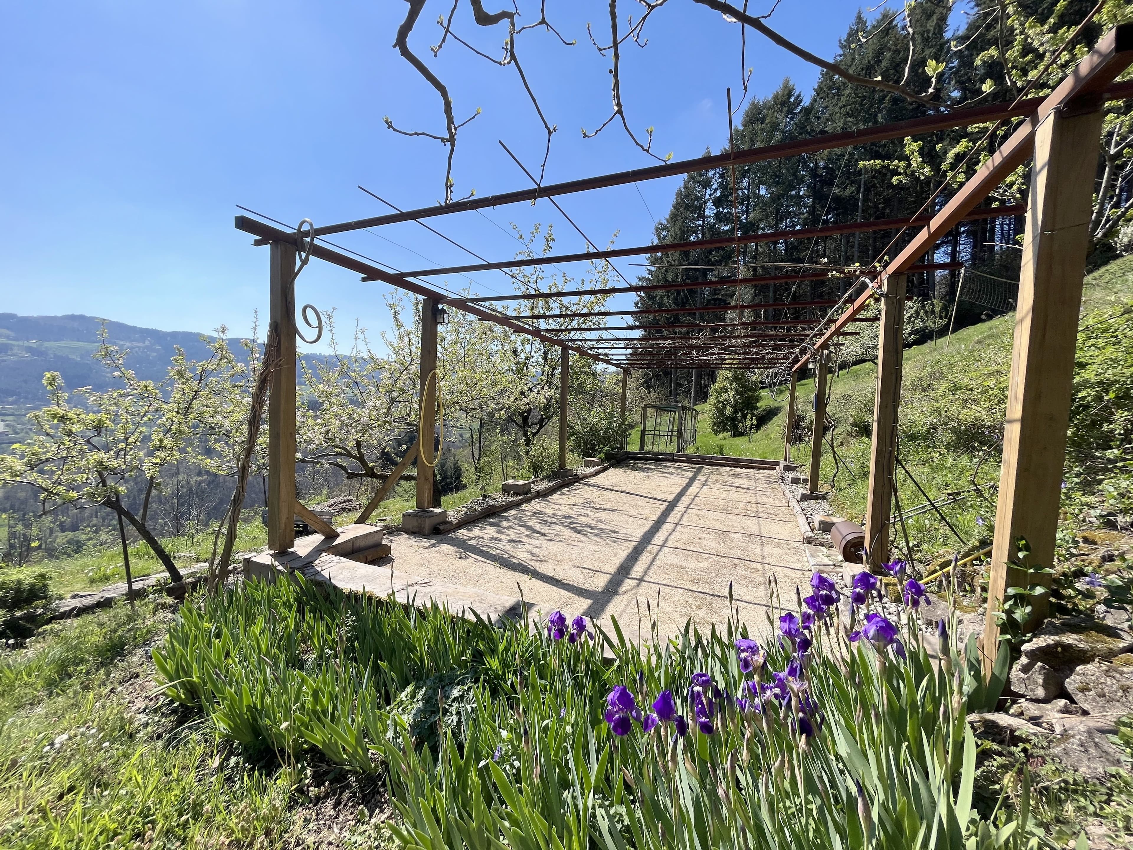Authentique ensemble immobilier sur environ 1 hectare 89 ares - Photo 5