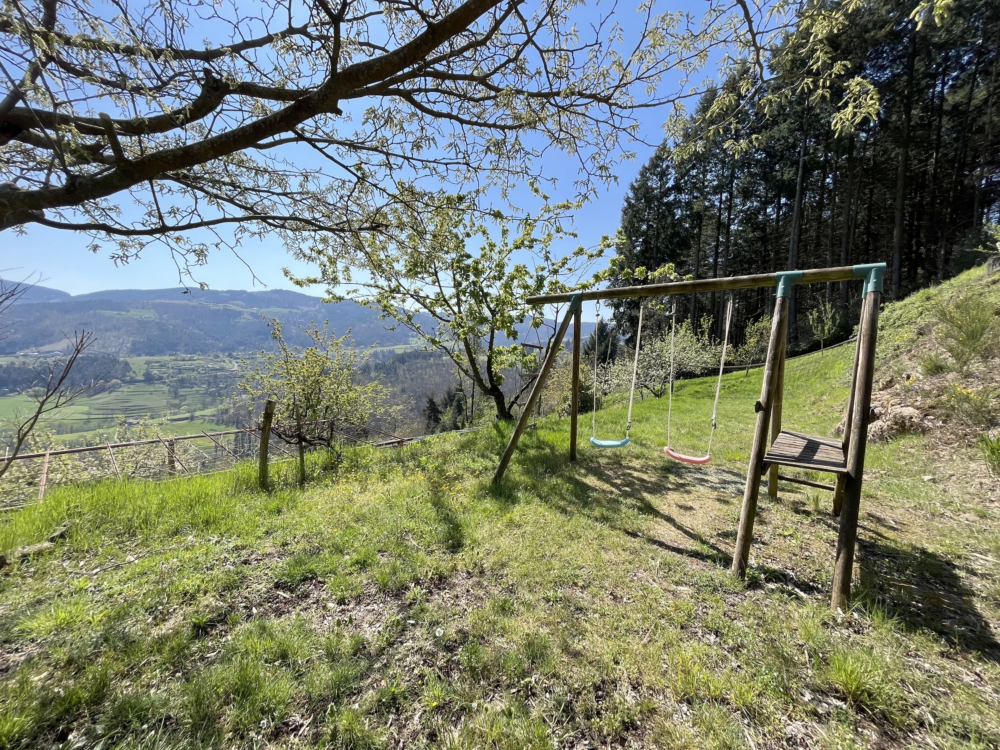 Authentique ensemble immobilier sur environ 1 hectare 89 ares - Photo 4