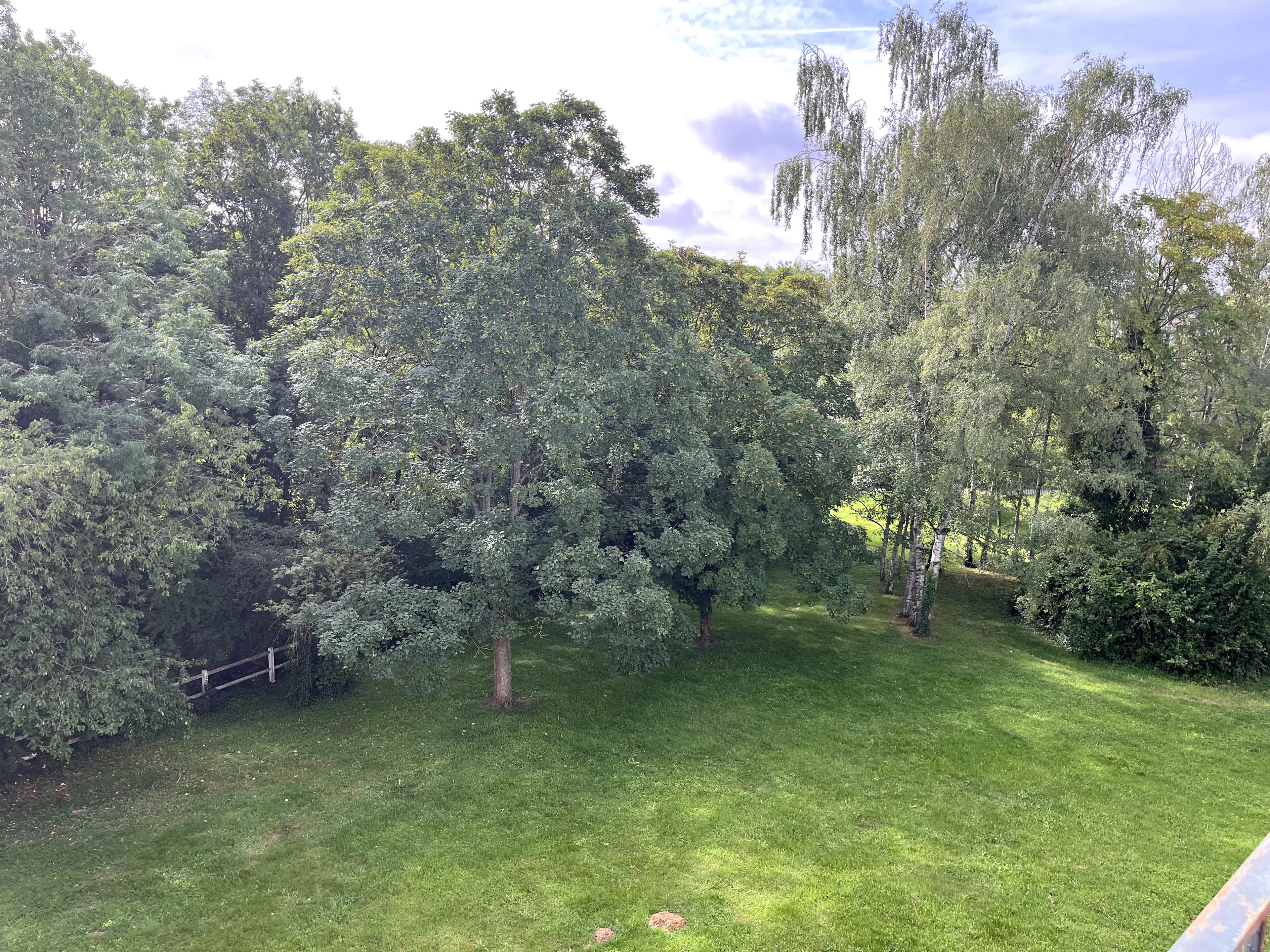 Appartement T4 - parking et caves - St-Germain-les-Arpajon - Photo 10