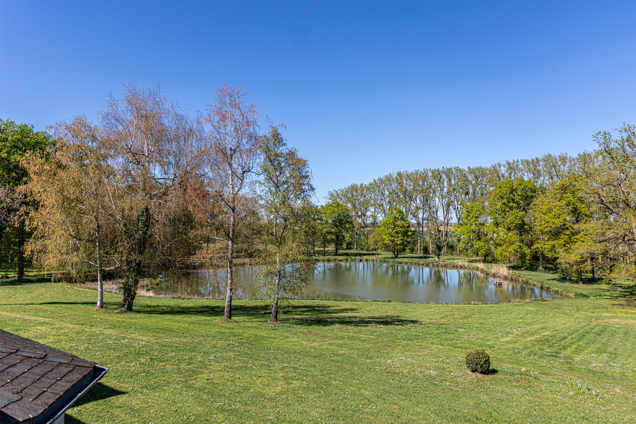 Propriété 24 hectares, étang, bâtiment 1000m2 dont 490m2 hab - Photo 8
