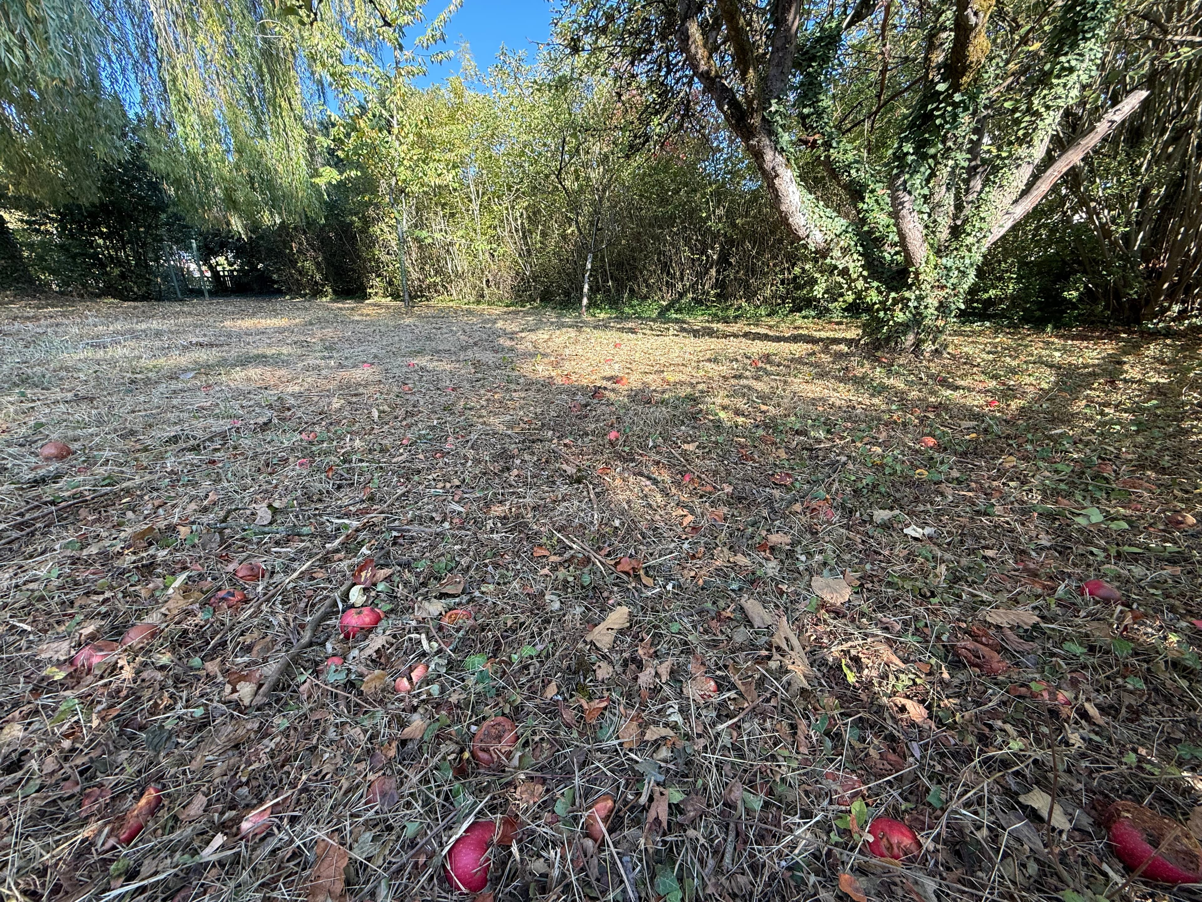 HAGONDANGE: maison avec cachet sur environ 12 ares de terrain - Photo 2
