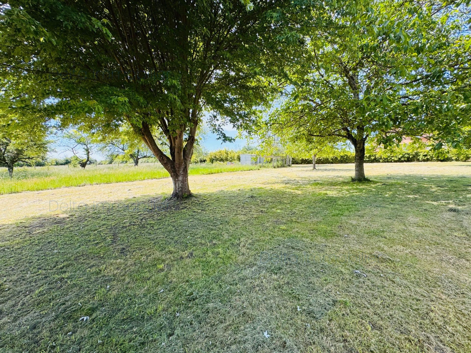 Maison familiale 4 chambres sur parc de 6589m² - Photo 10