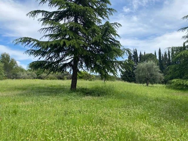 LORGUES - Bastide provençale de 1789 - Photo 4