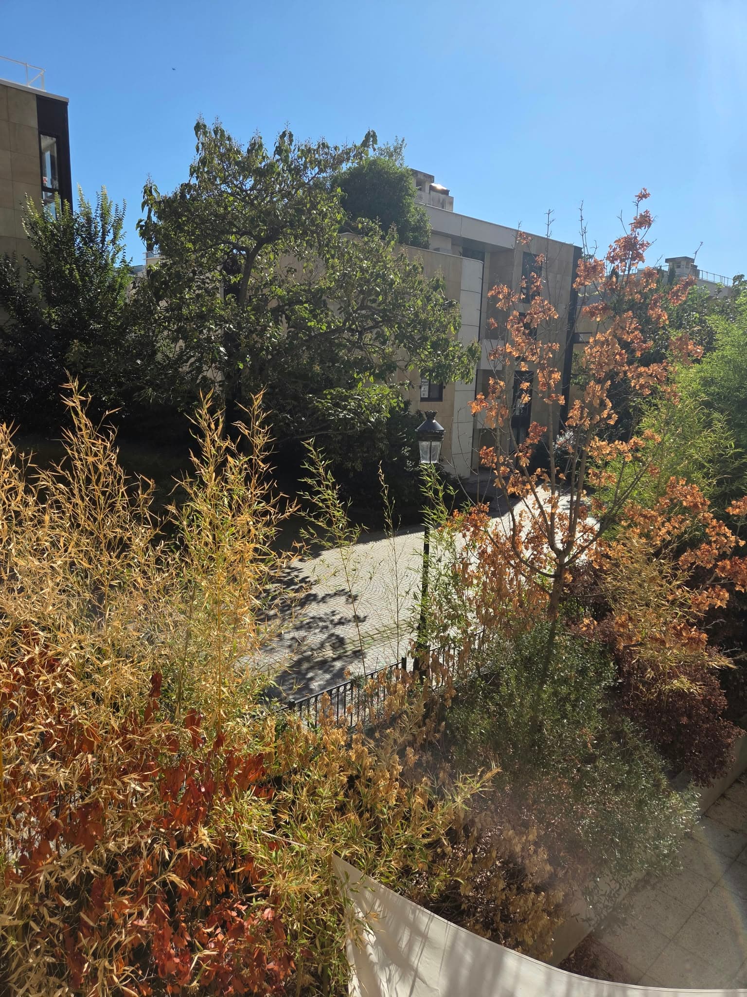 Studio de 32 m² avec balcon - Levallois-Perret, Île de la Jatte