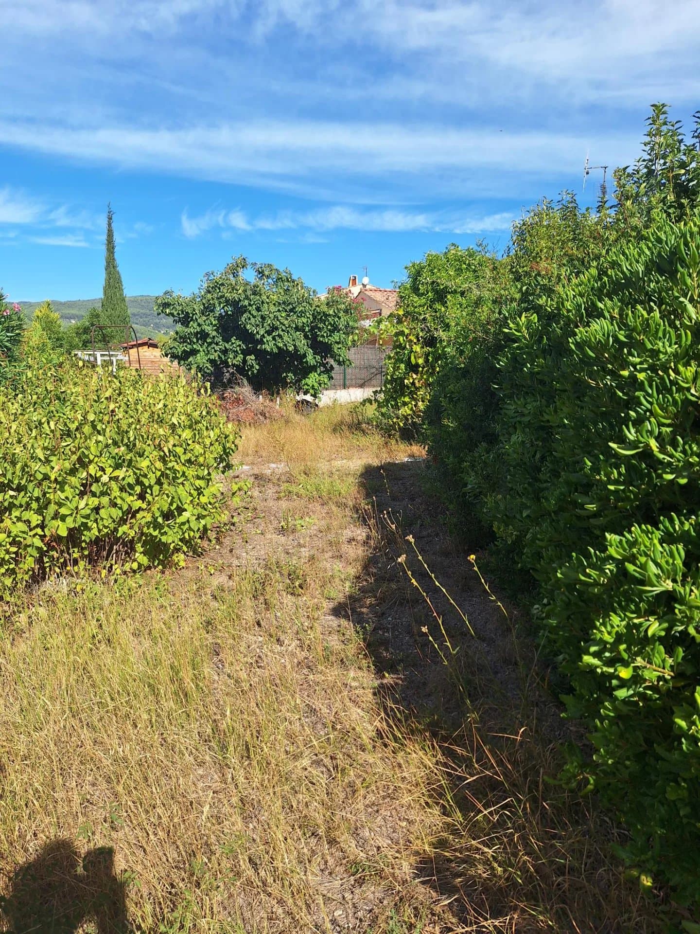 DRAGUIGNAN - Villa 3 chambres sur 1008 m² de terrain à rénover - Photo 3