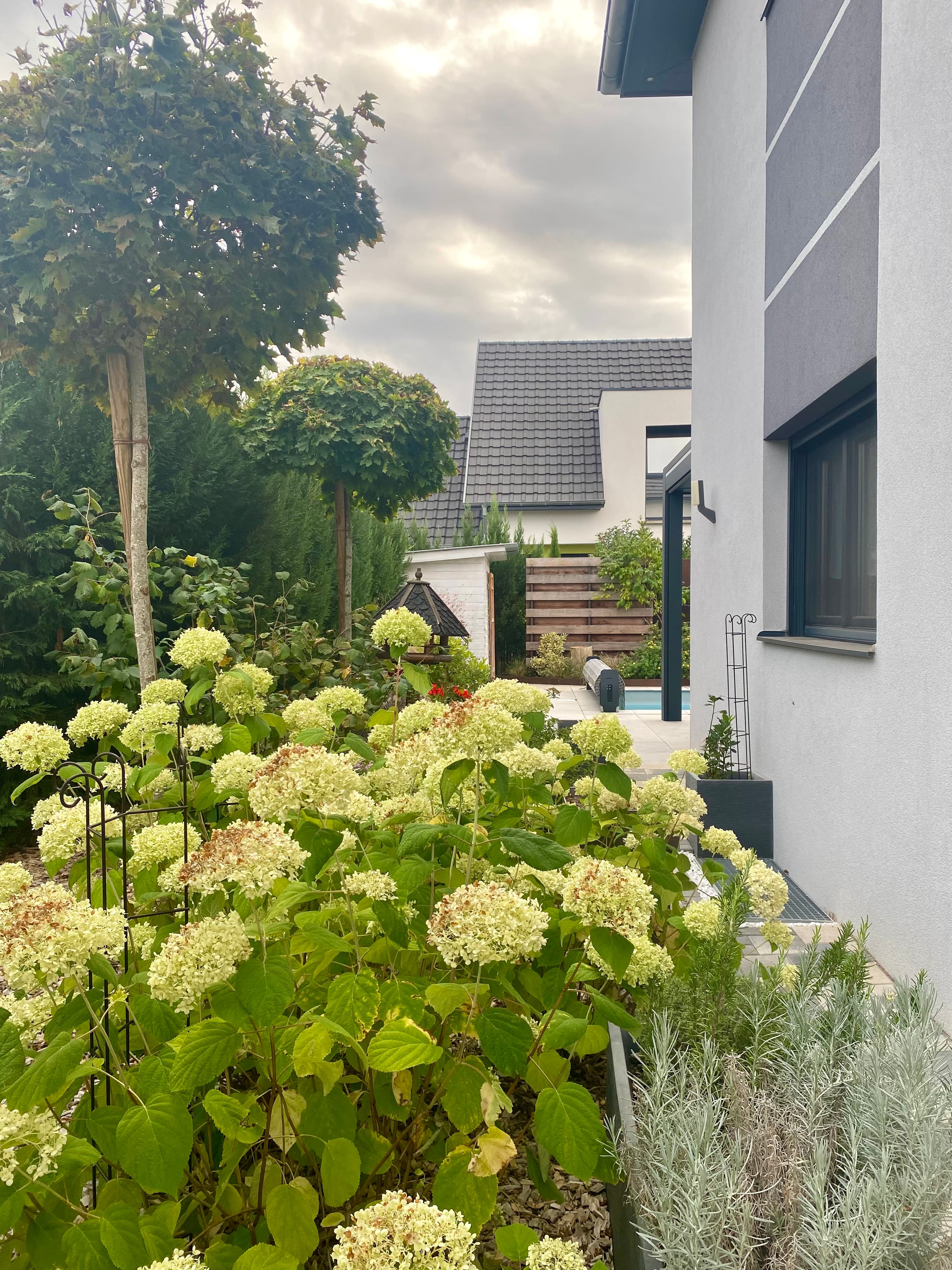 Maison 6 pièces 163m2 Jardin 600m2 Piscine 68 GUEWENHEIM - Photo 10