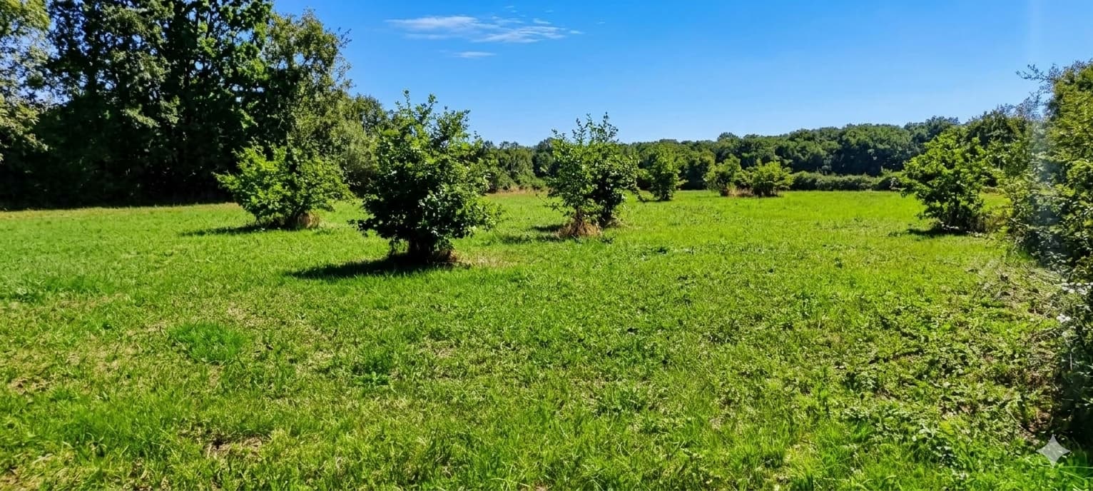 Terrain de loisir de 3 000 m² au calme - Photo 2