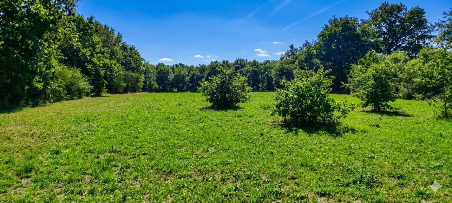 Terrain de loisir de 3 000 m² au calme