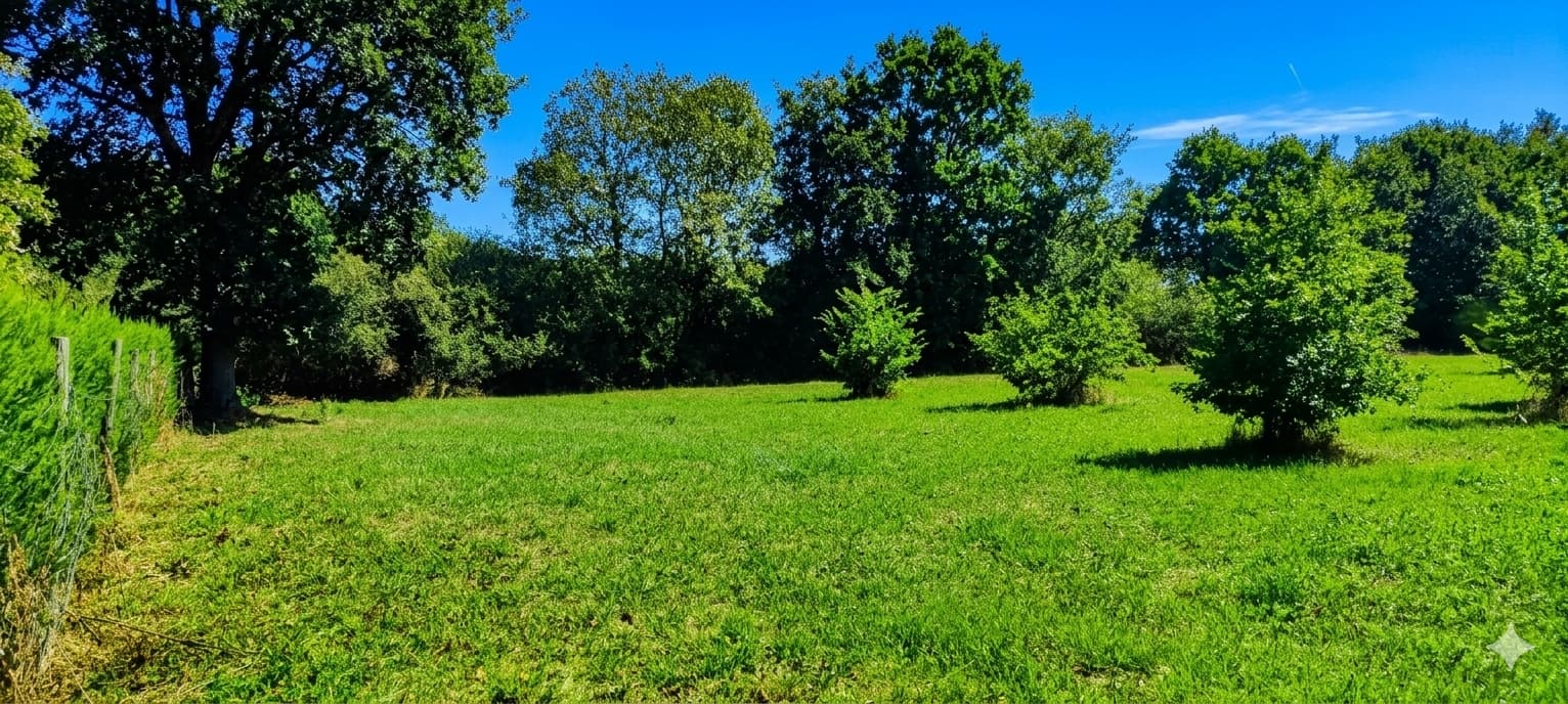 Terrain de loisir de 3 000 m² au calme - Photo 3