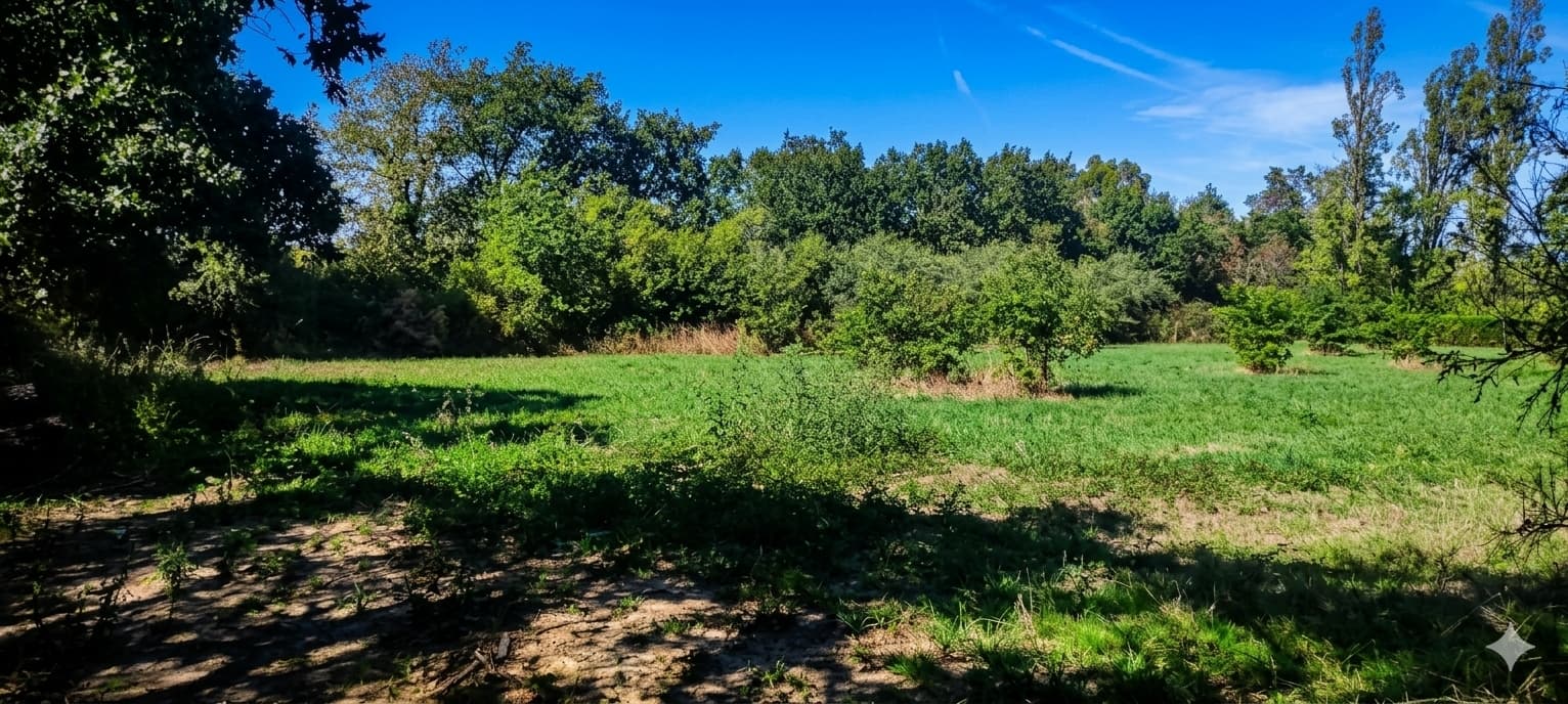 Terrain de loisir de 3 000 m² au calme - Photo 4