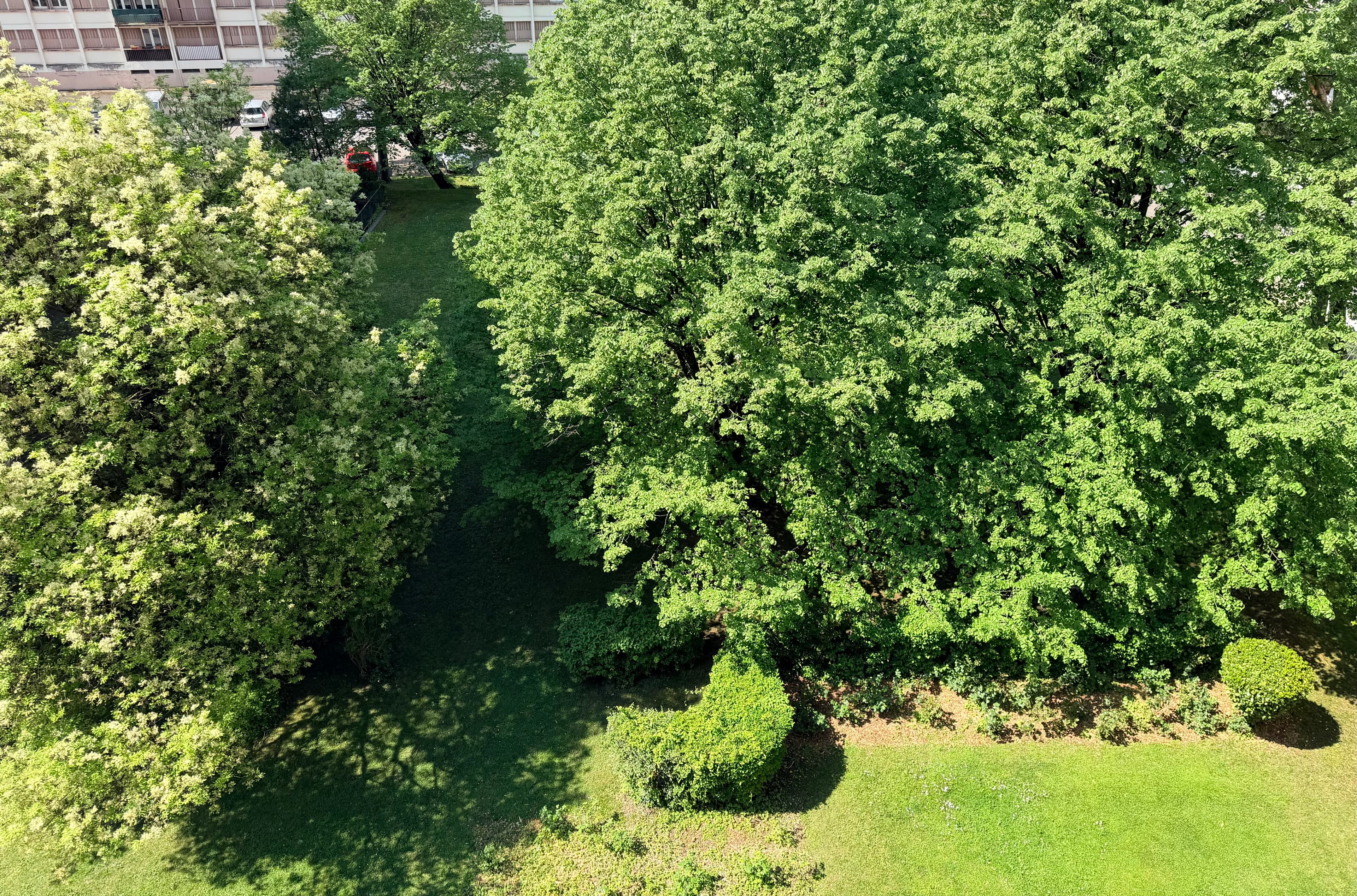 MEYLAN BEL APPARTEMENT TRAVERSANT F4 DONNANT SUR PARC - Photo 4