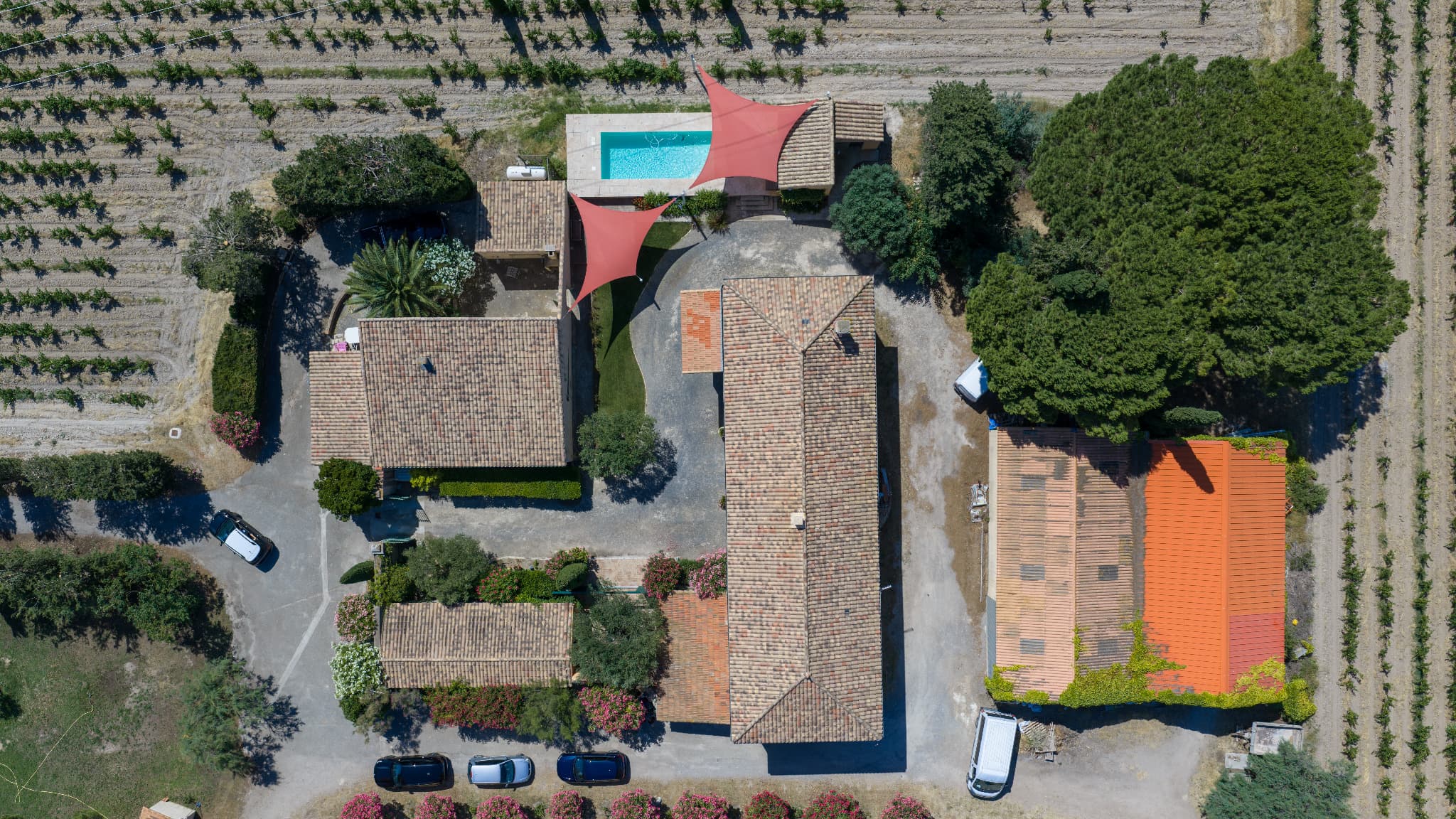 FRONTIGNAN - PROPRIÉTÉ D'EXCEPTION - VIAGER OCCUPÉ - Photo 4