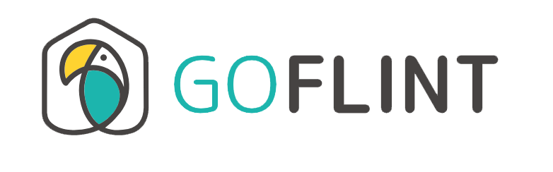 GoFlint